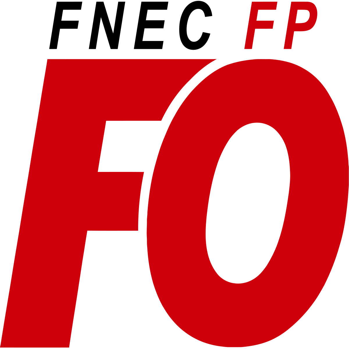 fnecfpfo.logo.vectoriel.svg.png